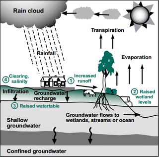 Human Activity - The Global Systems - The Hydrologic Cycle.